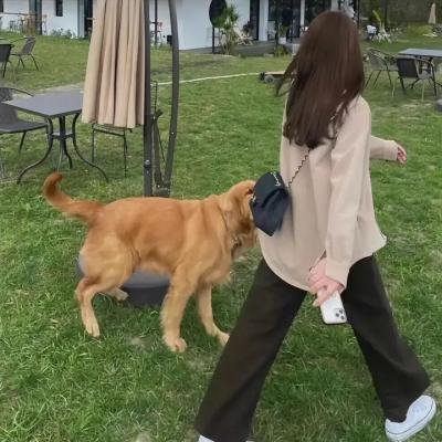 恩情